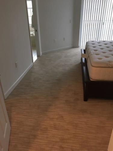 Giant Carpet and Flooring 